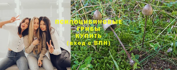 2c-b Богородск