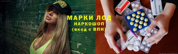 мяу мяу мука Бородино