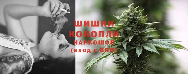 спиды Богородицк