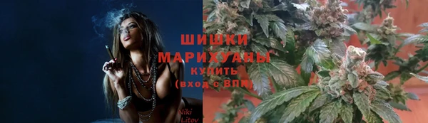 тгк Богданович