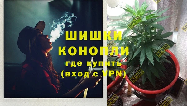 тгк Богданович