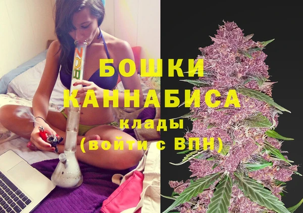 тгк Богданович