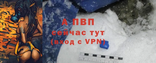 тгк Богданович