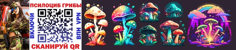 нарко площадка формула  Могоча  Псилоцибиновые грибы Psilocybe 