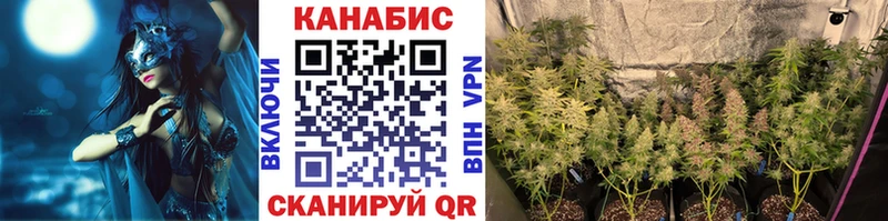 Конопля индика Могоча